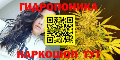 прущий лед Жуковский