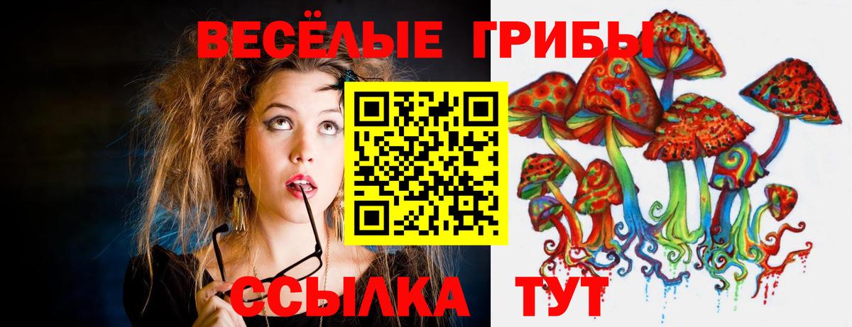 Псилоцибиновые грибы MAGIC MUSHROOMS Благовещенск