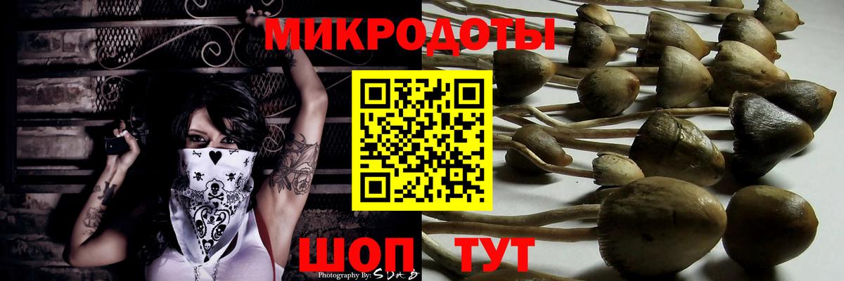 Благовещенск  Псилоцибиновые грибы ЛСД  Вход с VPN 
